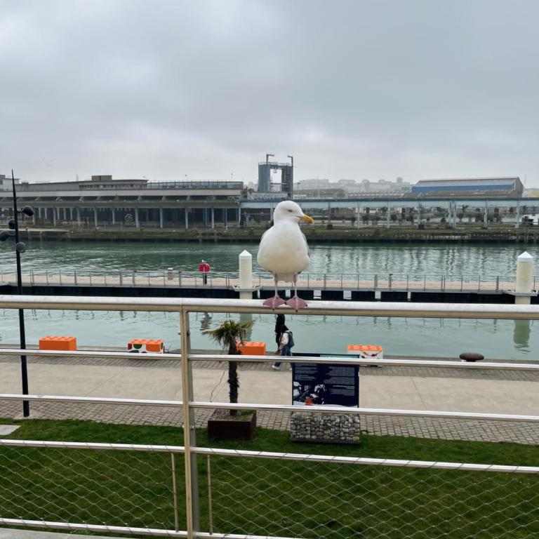 La Sirène Bleue de Boulogne Sur Mer - Appartement 1 Chambre - 24