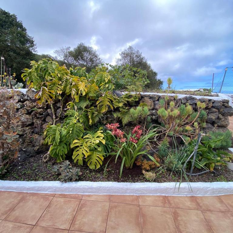 Casa La Vega Rural con piscina, Tenerife - Casa de 4 dormitorios - 15