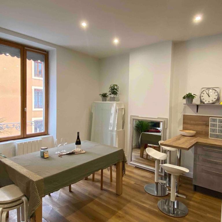 Spacious apartment Lyon 3 - Apartment mit 1 Schlafzimmer - 5