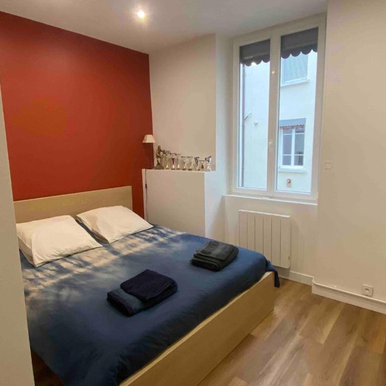 Spacious apartment Lyon 3 - Apartment mit 1 Schlafzimmer - 6