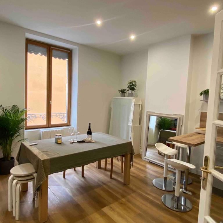 Spacious apartment Lyon 3 - Apartment mit 1 Schlafzimmer - 7