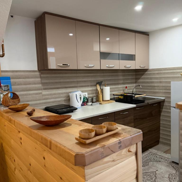 Apartman Bakic - Apartman sa 1 Spavaćom Sobom - 8