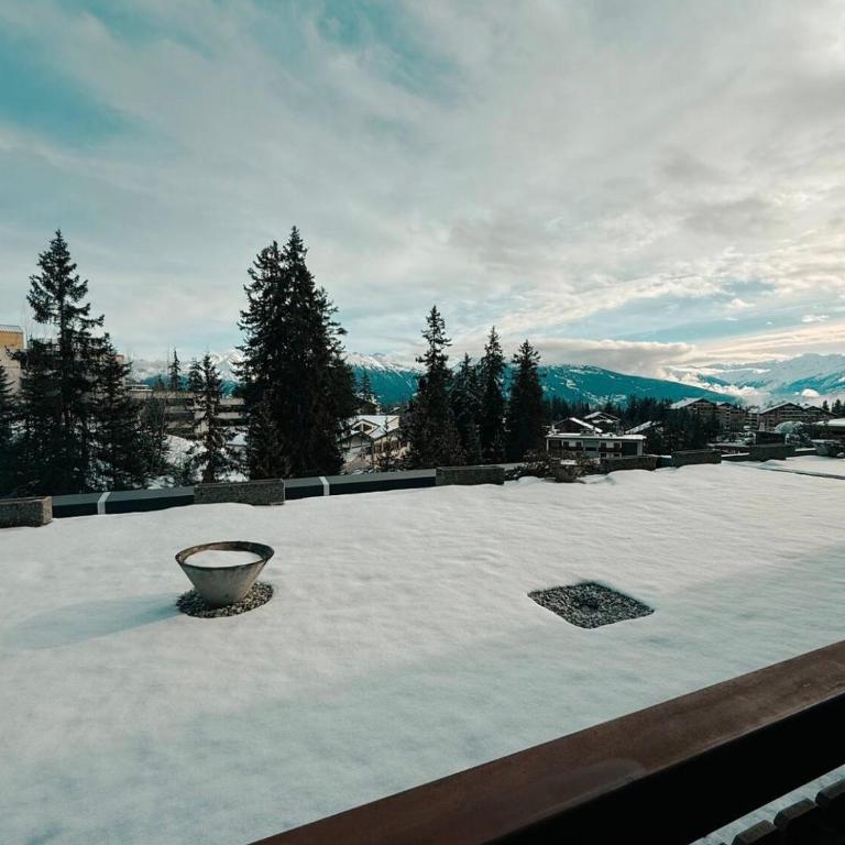 Studio avec vue spectaculaire au pied des pistes - Apartment mit 1 Schlafzimmer - 1