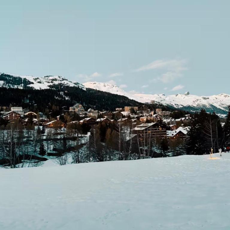 Studio avec vue spectaculaire au pied des pistes - Apartment mit 1 Schlafzimmer - 17