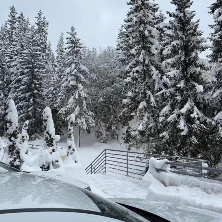 Studio avec vue spectaculaire au pied des pistes - Apartment mit 1 Schlafzimmer - 19