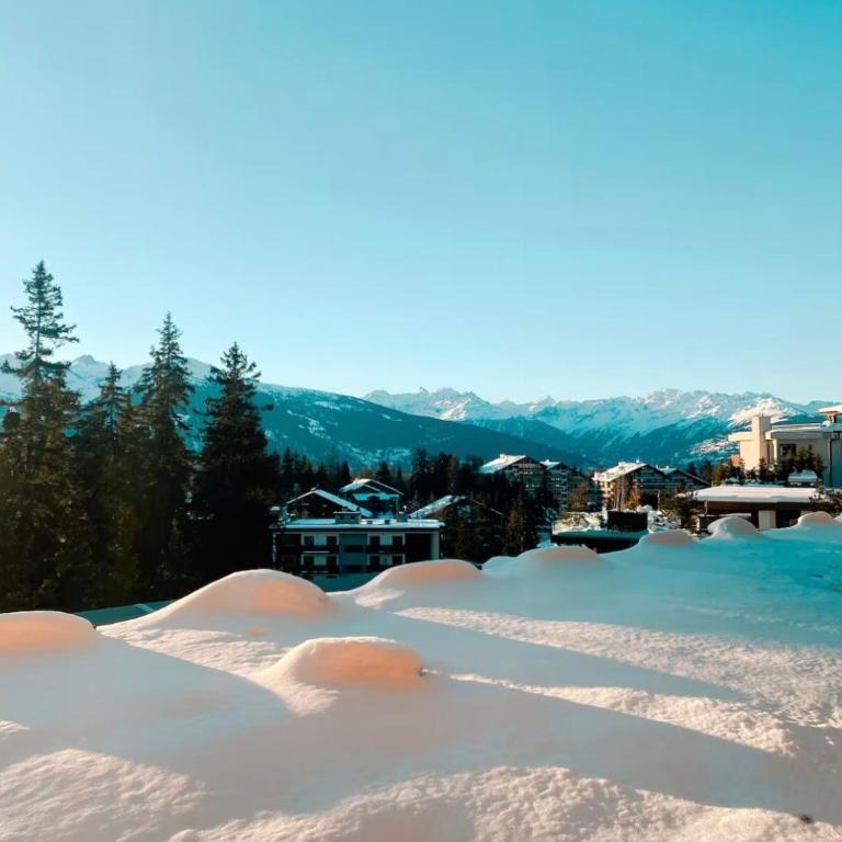 Studio avec vue spectaculaire au pied des pistes - Apartment mit 1 Schlafzimmer - 20
