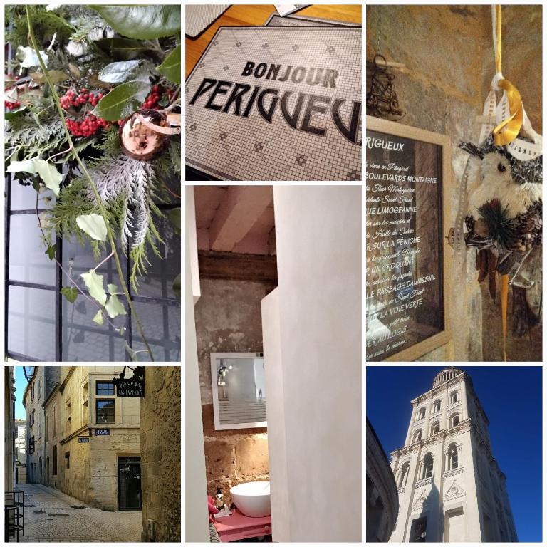 Logis 8 St Front gite urbain Périgueux - Appartement - Rez-de-Chaussée - 23