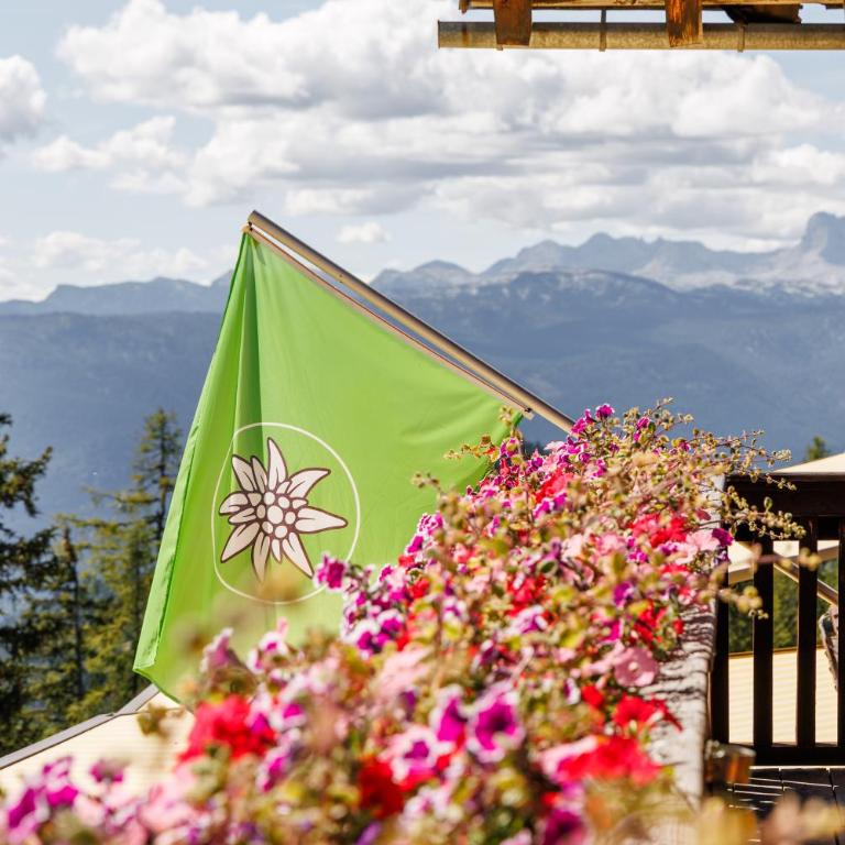 Berggasthof Hollhaus - Chambre Quadruple avec Balcon - 5