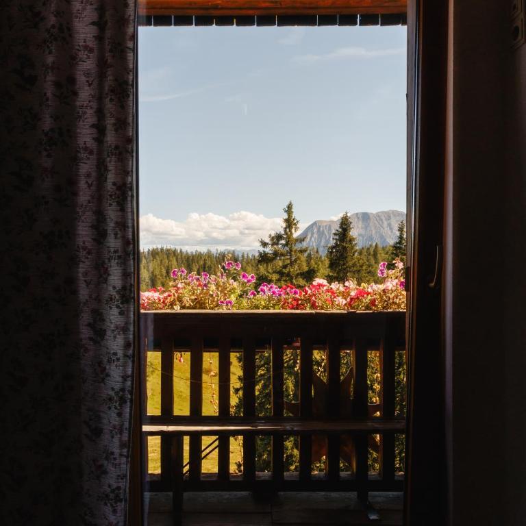Berggasthof Hollhaus - Chambre Familiale avec Balcon - 6