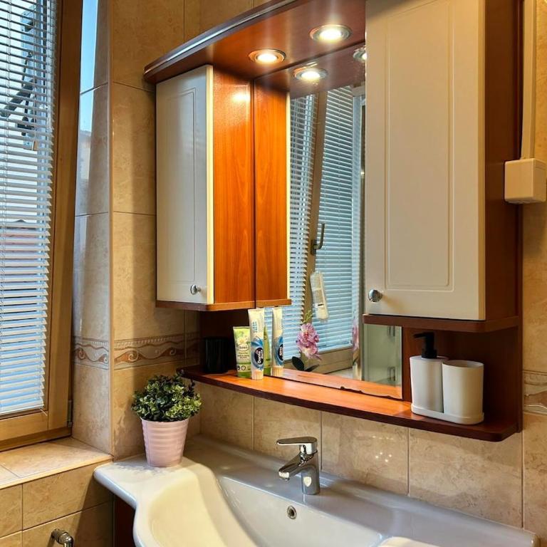 Apartment Smile Sarajevo Center- private parking - Apartman sa 1 Spavaćom Sobom - 4