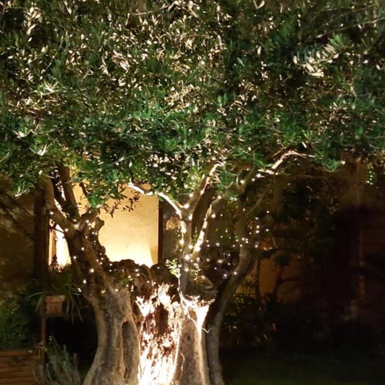 Casa Vacanze L'Ulivo di Ugo - Casa con 2 Camere da Letto - 4