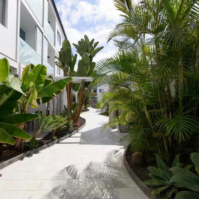 Charming apartment in a building with a pool and terrace - Apartamento de 1 dormitorio - 7