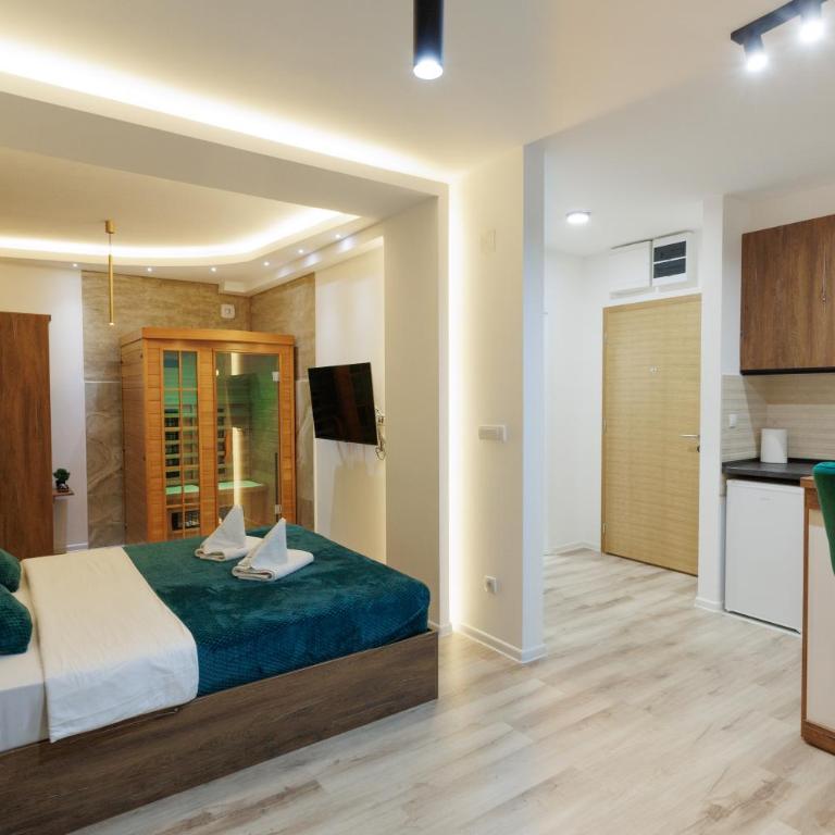 Aqua Studio with Sauna, Terrace and FREE Parking - Apartment mit 1 Schlafzimmer - 12