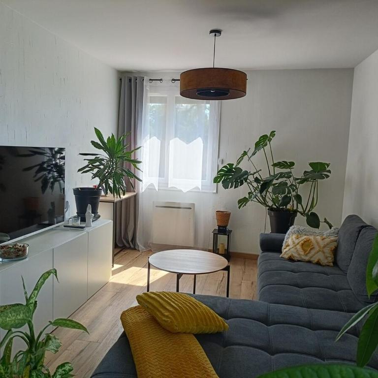 Ticocon - Appartement 3 Chambres - 7