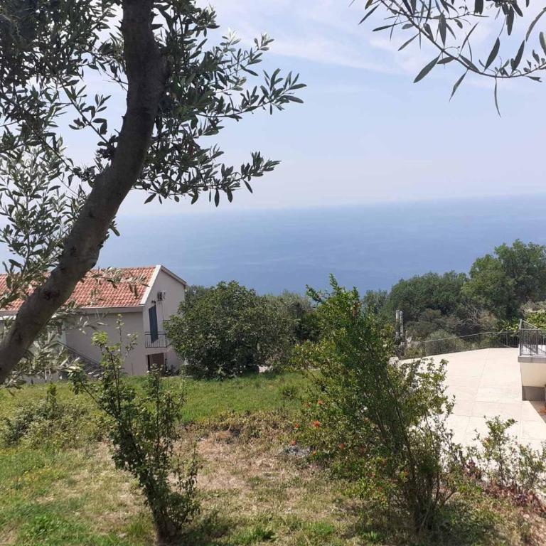 Lux Leone - Apartman sa 1 Spavaćom Sobom - 1