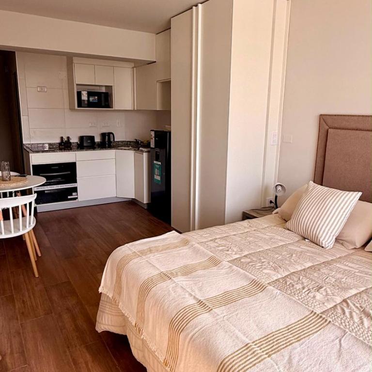 Monoambiente premium, centrico y funcional - Apartamento de 1 dormitorio - 5