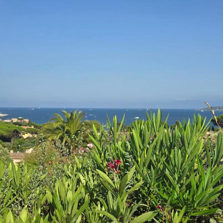 Studio vue mer avec terrasse et piscine partagée - Studio - 12