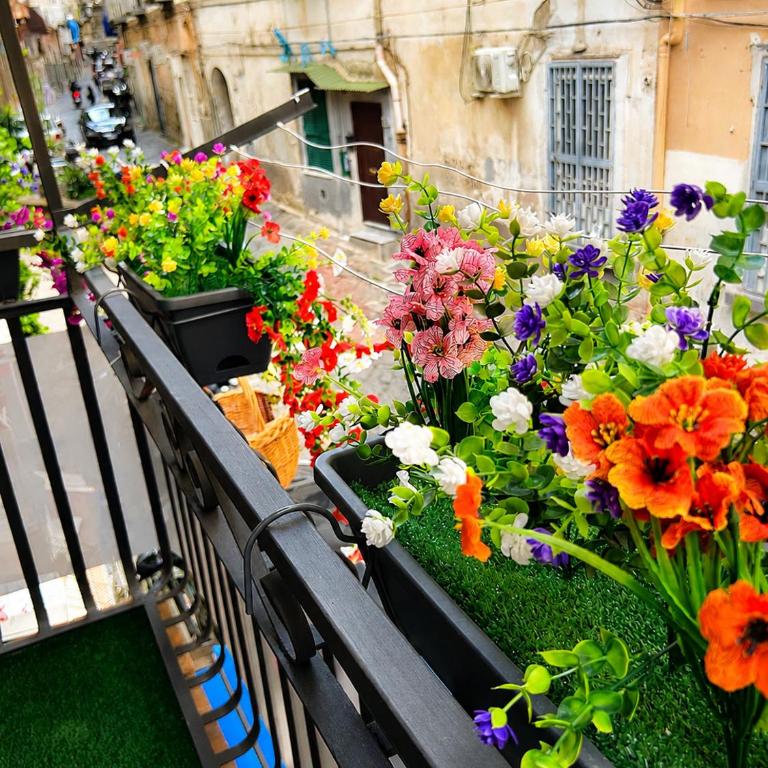 Nunù s Apartment Napoli - Appartamento con 1 Camera da Letto, Balcone e Divano-Letto - 45