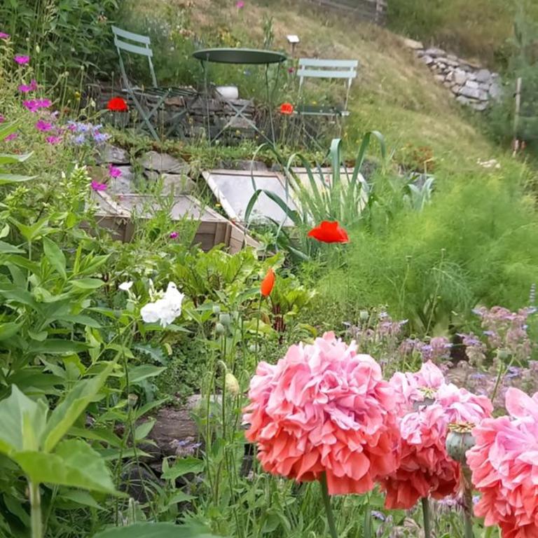 Apart-Chalet Talblick - Chalet 1 Chambre - 5
