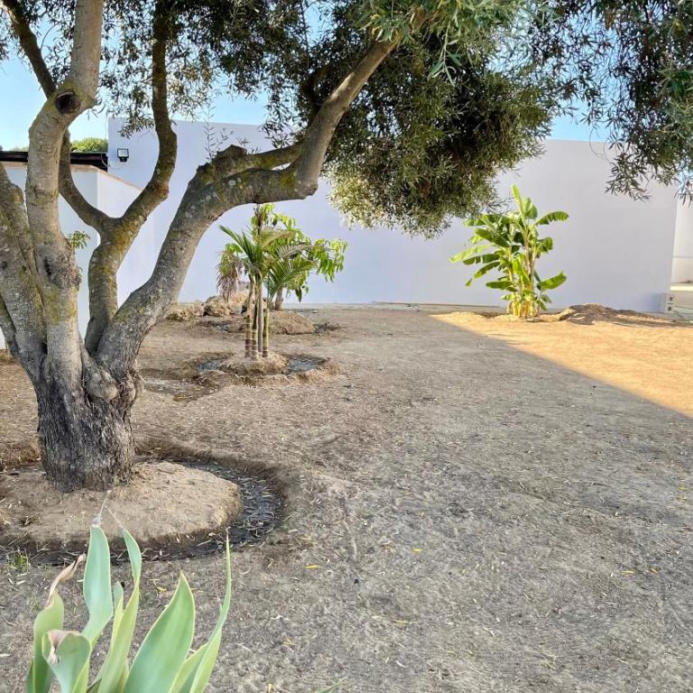 Golondrinas Verdes - Casa con 1 dormitorio - 9