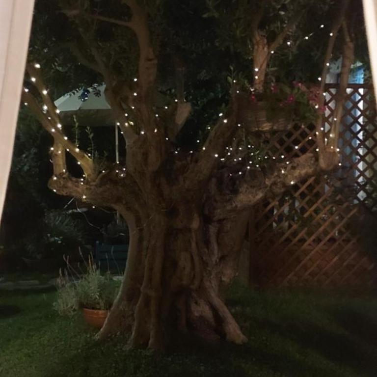 Casa Vacanze L'Ulivo di Ugo - Casa con 2 Camere da Letto - 2