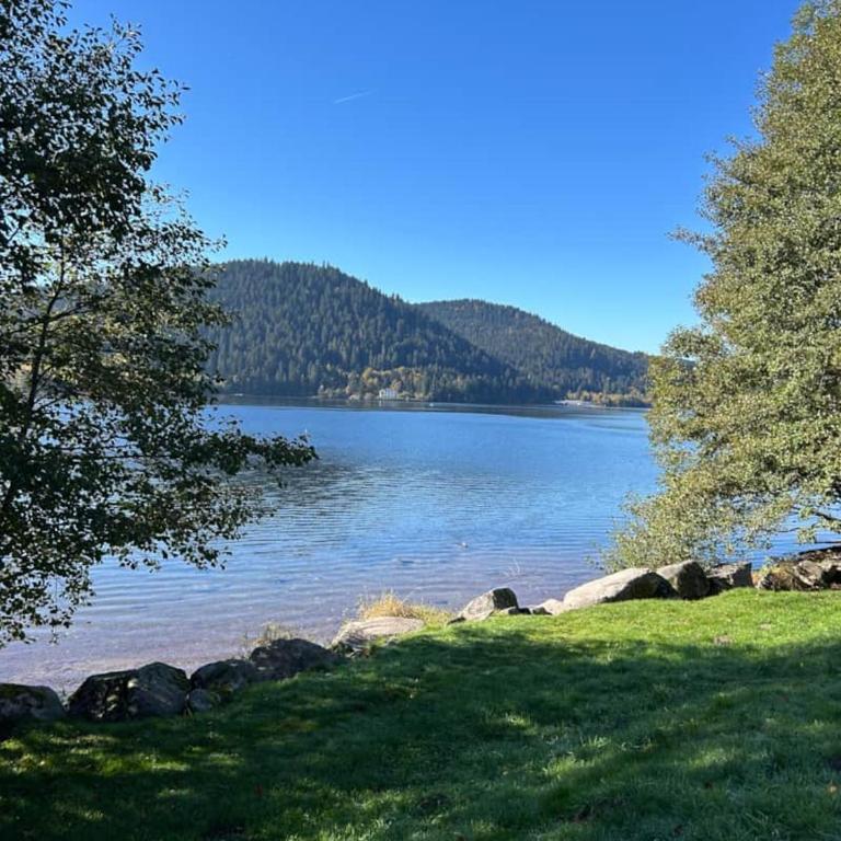 Domaine Coup de Cœur - Le Belvédère du Lac - Appartement - Vue sur Lac - 14