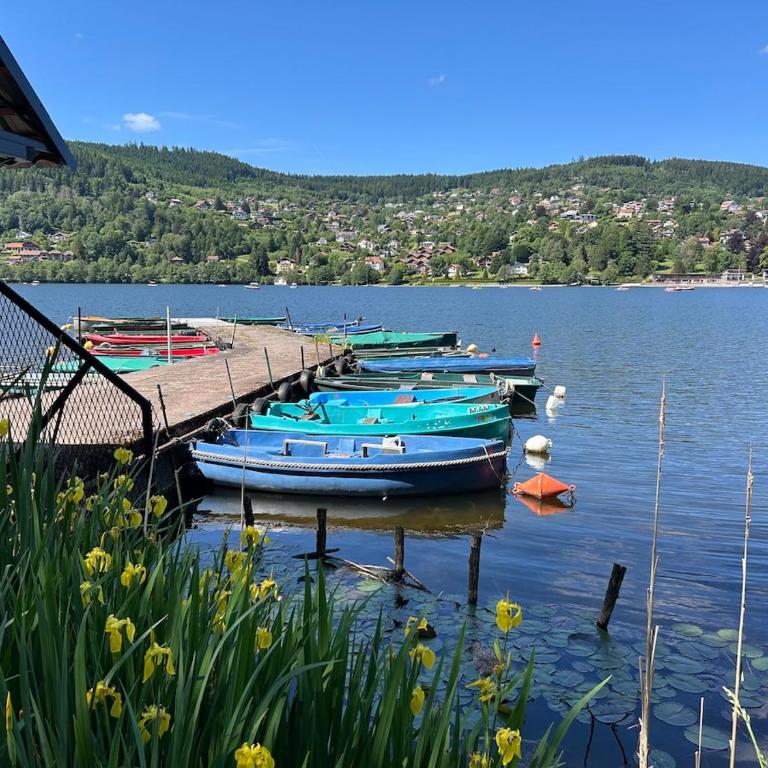 Domaine Coup de Cœur - Le Belvédère du Lac - Appartement - Vue sur Lac - 19