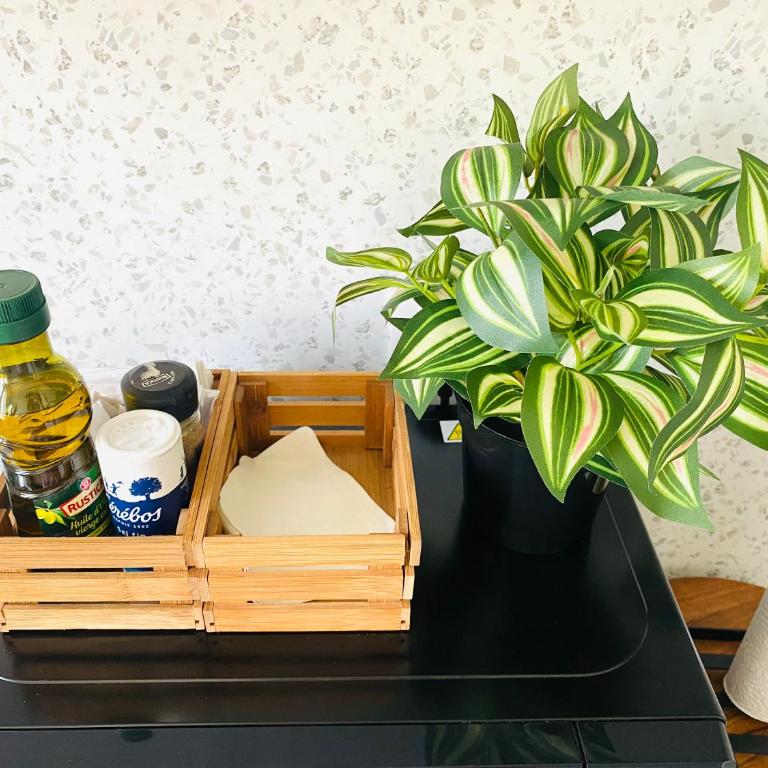 Studio centre ville - Appartement 1 Chambre - 17