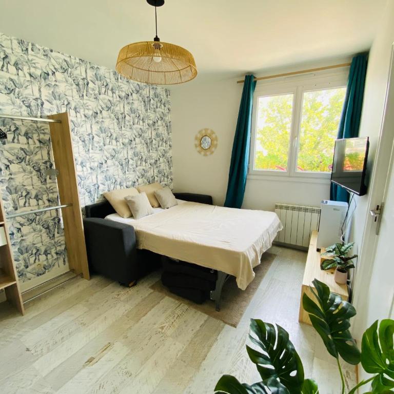 Studio centre ville - Appartement 1 Chambre - 7