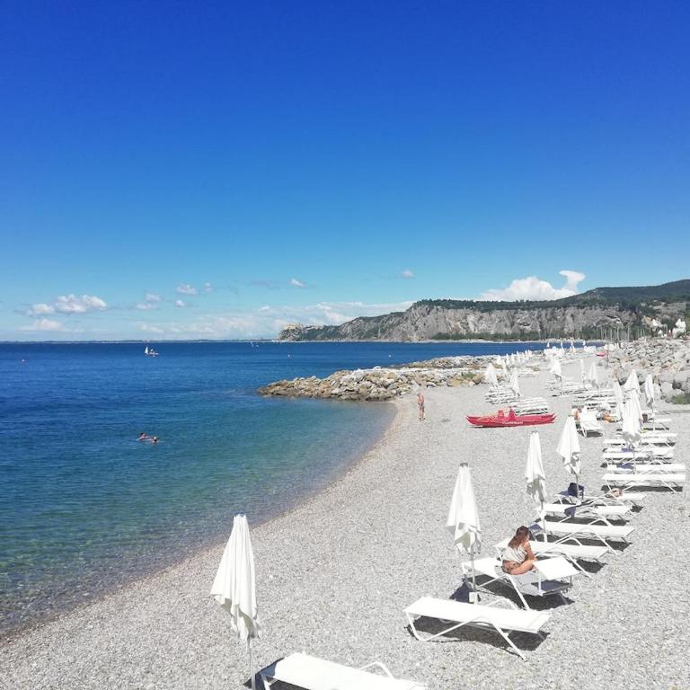 Apartment in the Center of Trieste - One-Bedroom Apartment - 9