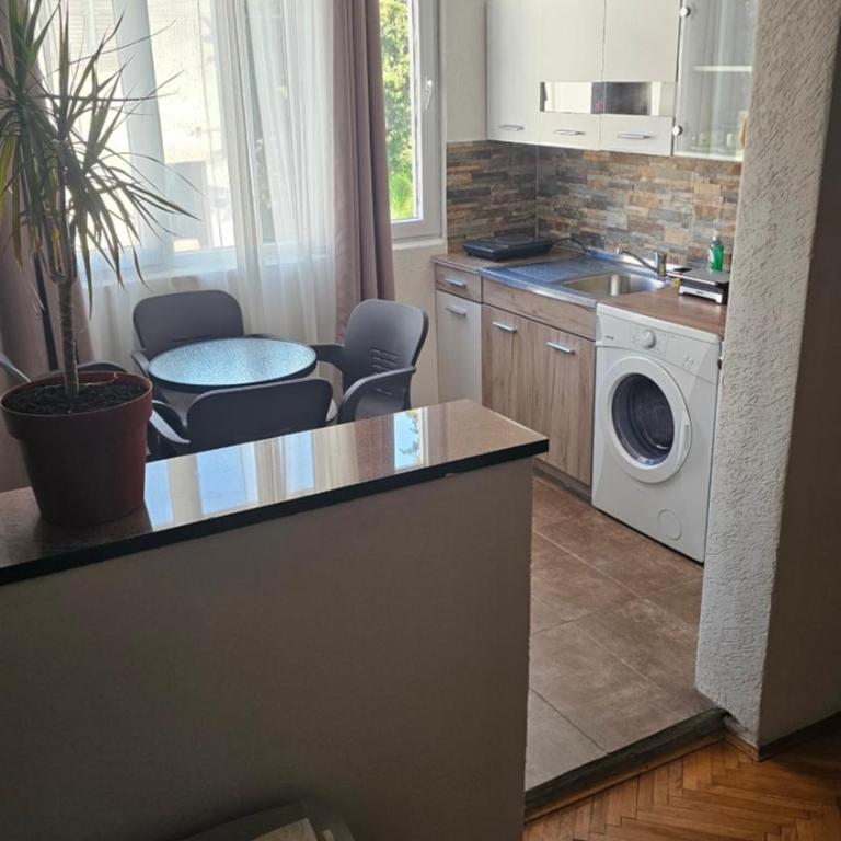Petar Vukajlov - Apartman sa 1 Spavaćom Sobom - 3