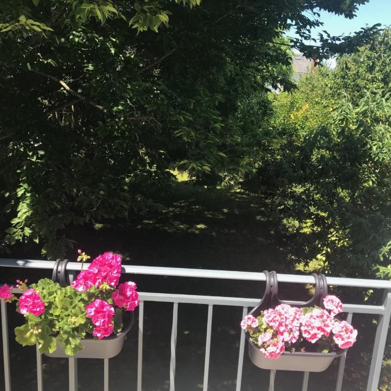 Chambre avec salle de bains privée - Wifi - Coin repas - Garage vélos - Chambre Double - 8