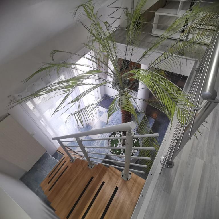 Le mans circuit 24H a 5 min 6 pers maxi - Haus mit 3 Schlafzimmern - 4