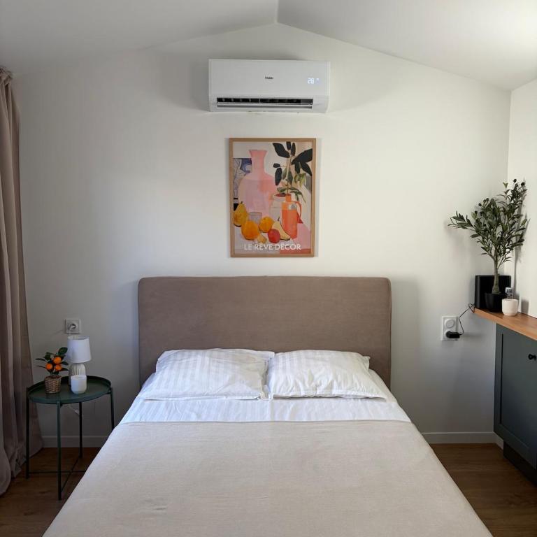 Séjour au cœur de la cité des Papes - Appartement 1 Chambre - 3