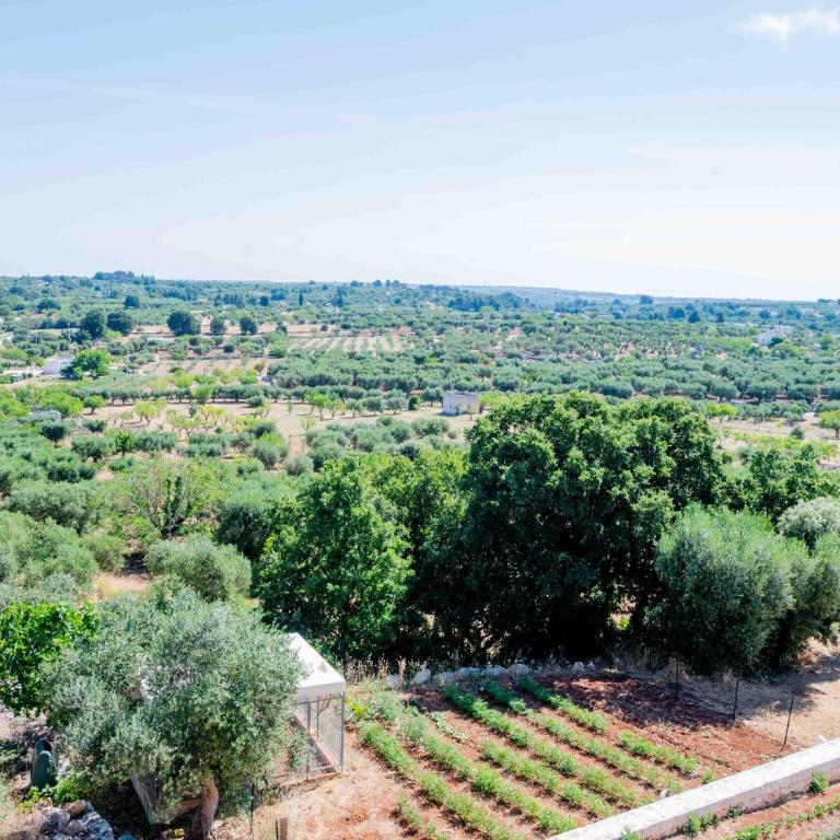 Moderno Mediterraneo - Deluxe Room - 75