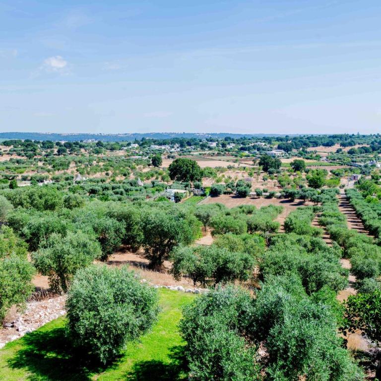 Moderno Mediterraneo - Deluxe Room - 83