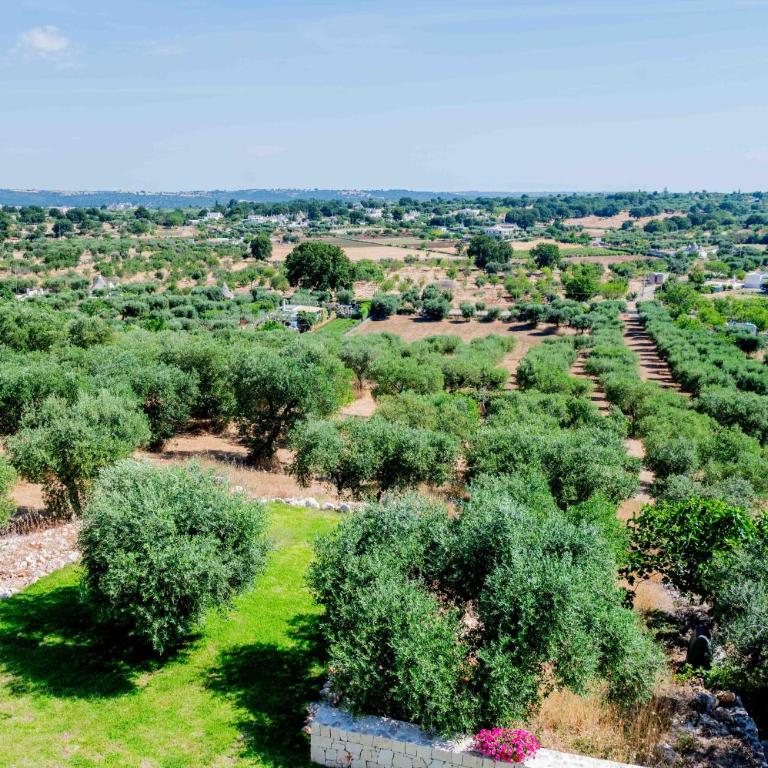 Moderno Mediterraneo - Deluxe Room - 87