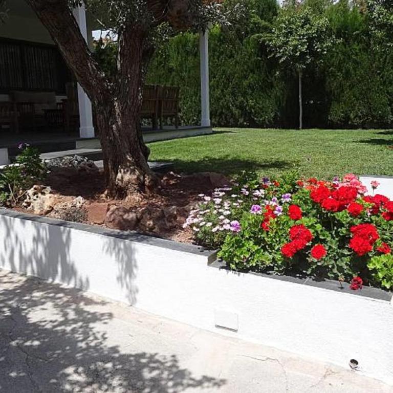 Alojamiento iluminoso en Benicasim - Haus mit 5 Schlafzimmern - 23