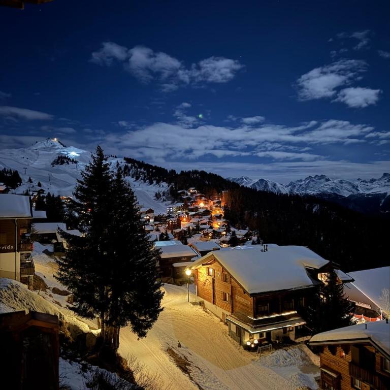 Chalet Adler Bettmeralp 2 Schlafzimmer - Apartment mit 2 Schlafzimmern - 1