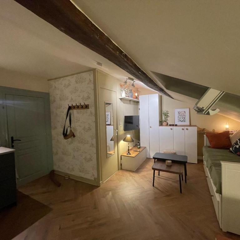 Charmant studio en plein coeur d'Angers - Appartement 1 Chambre - 2