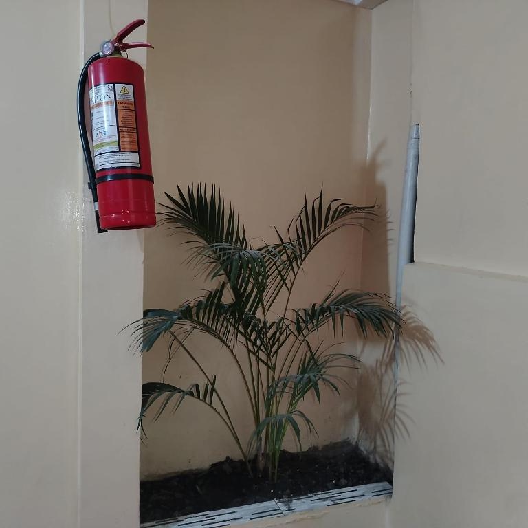Hostal Mediodía MATRIZ - Suite Junior - 4