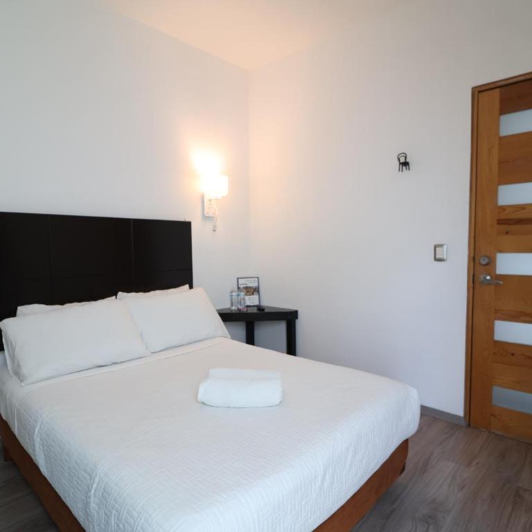 SanRafa Polanco II - Suite Junior - 11
