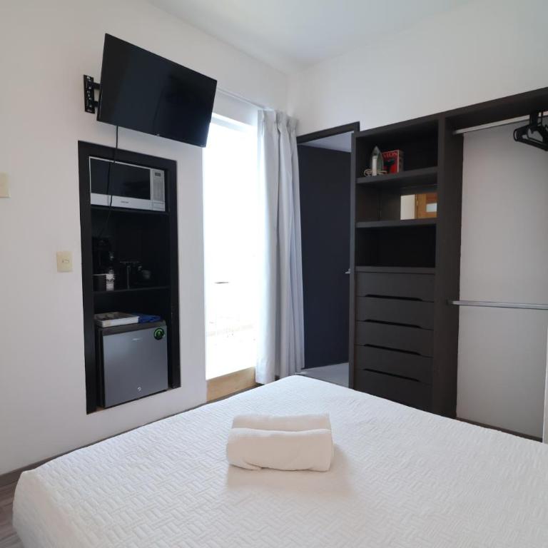 SanRafa Polanco II - Suite Junior - 1