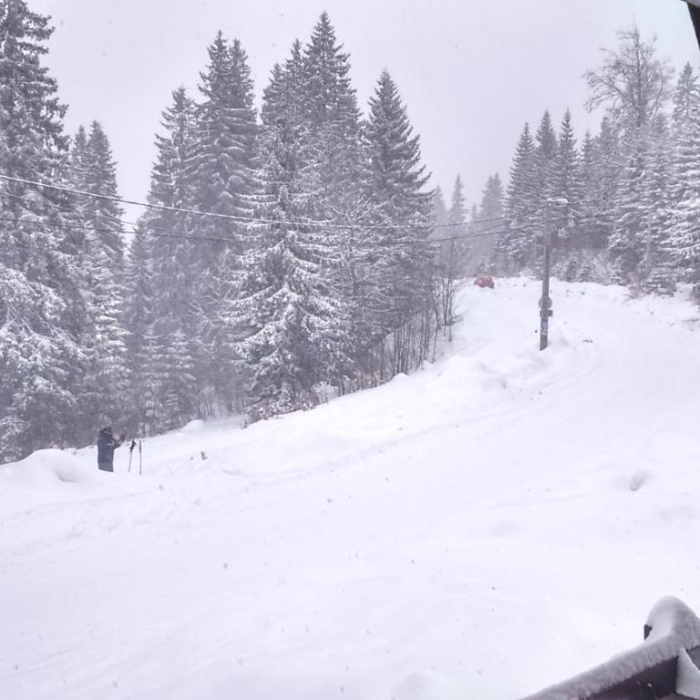 Zlatni Javor - Two-Bedroom Apartment - 6