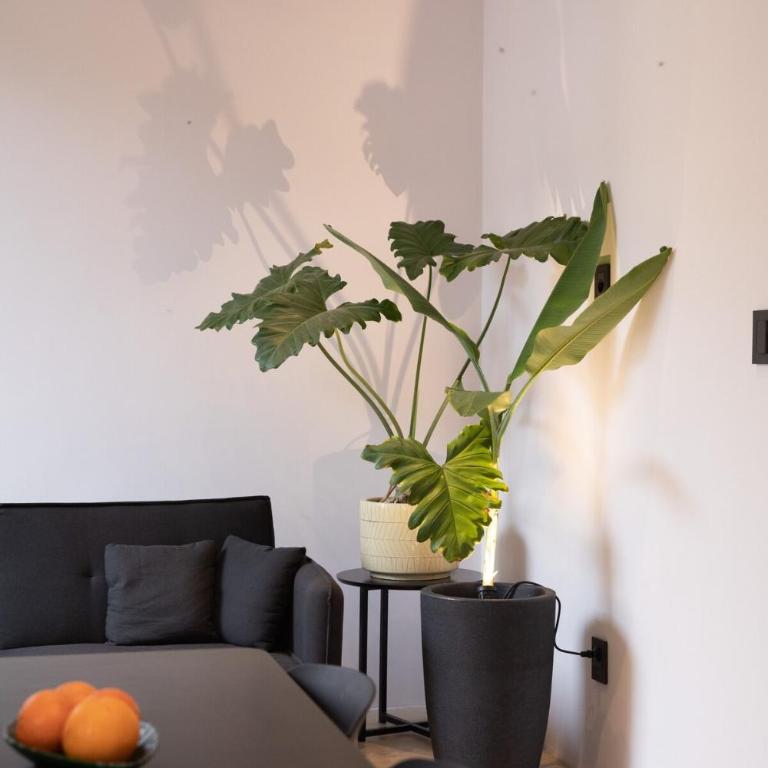 Design Apartment - Old Town - Apartamento de 1 dormitorio - 31