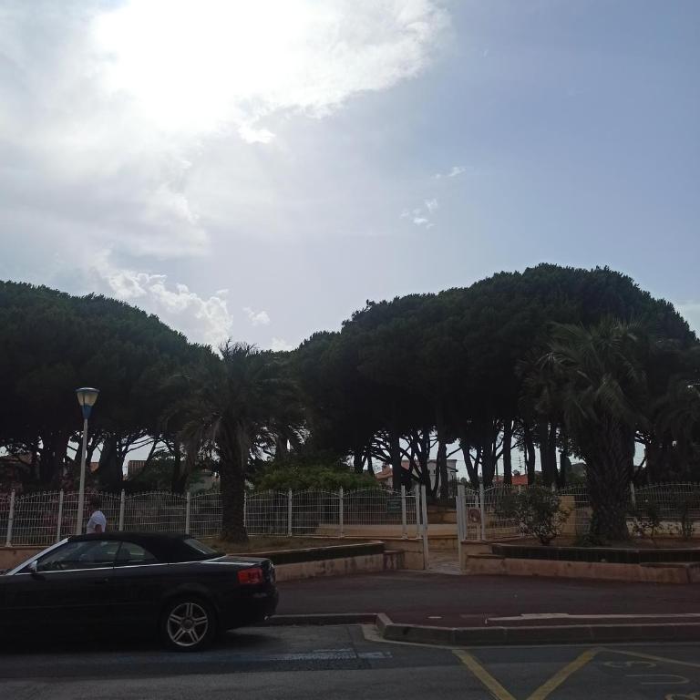 T2 40m2 Canet plage à 250 m de la plage et de la place Méditerranée - Appartement 1 Chambre - 13
