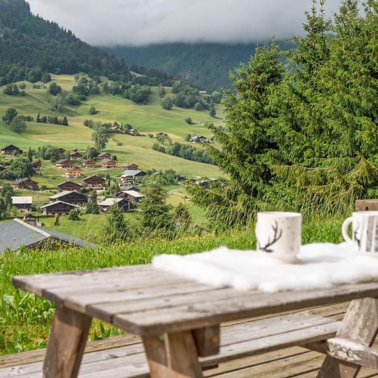 Appartement cosy, terrasse, style chalet - Appartement 2 Chambres - 20