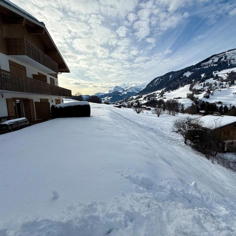 Appartement cosy, terrasse, style chalet - Appartement 2 Chambres - 27