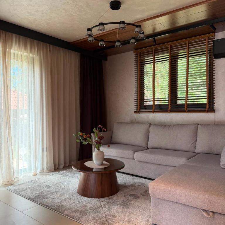 Georgija Mountain Home Divčibare - Apartman sa 1 Spavaćom Sobom - 10