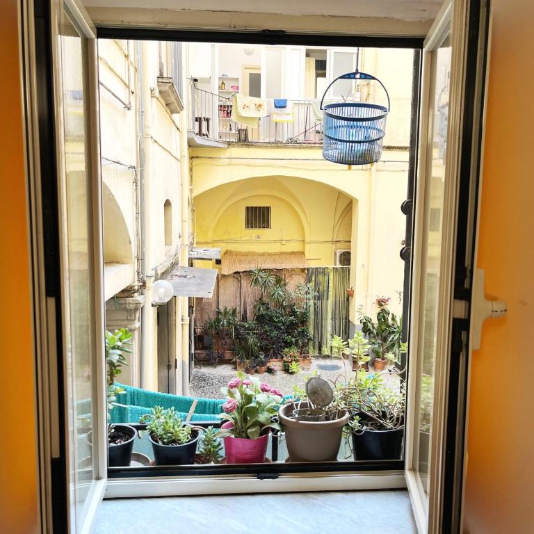 Vecchia Napoli - Anticaglia - Appartamentino su 2 Livelli - 16
